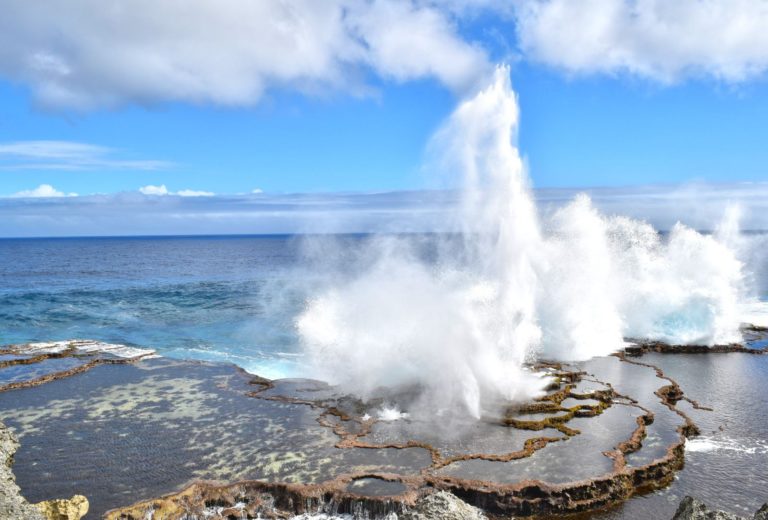 Tonga Weather in December