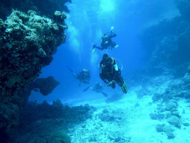 10 Best Dive Sites in Vava'u