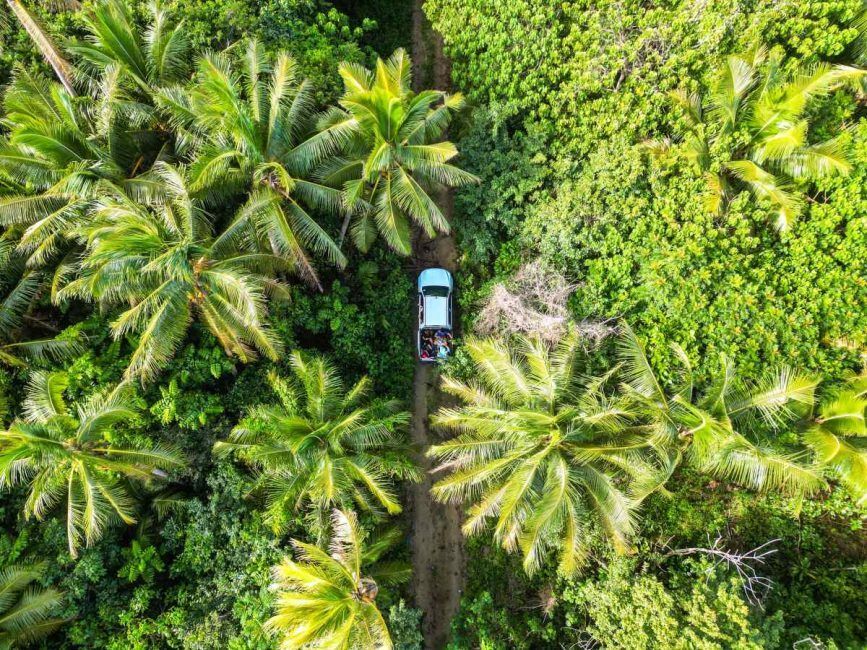 5 Best Off-Road Tours in Tonga