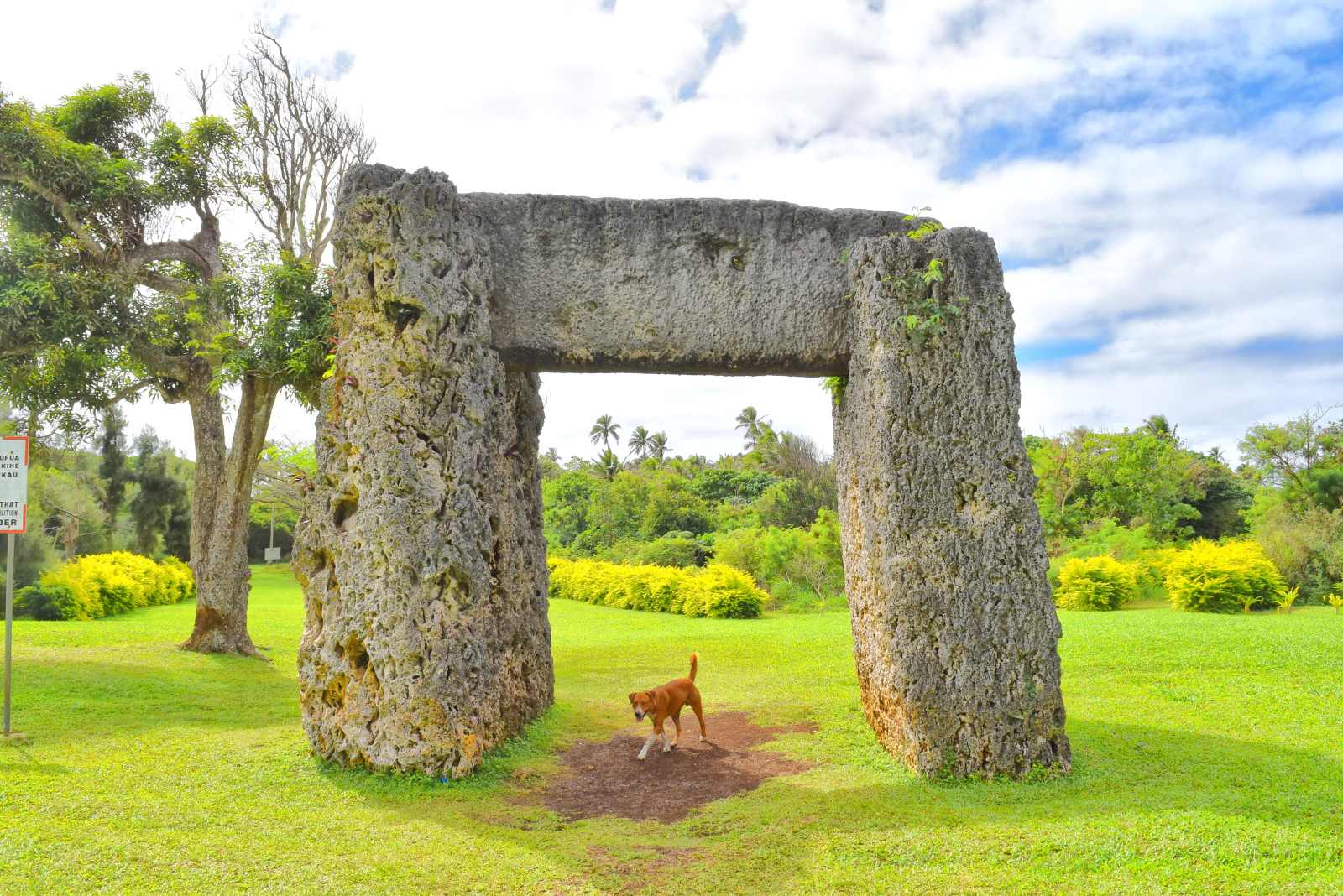 20 Fun Facts About Tonga