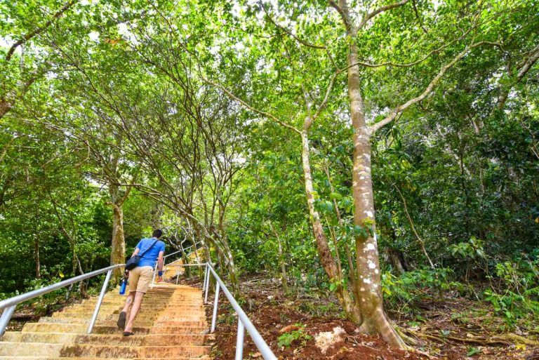 10 Best Walks & Hikes in Tonga