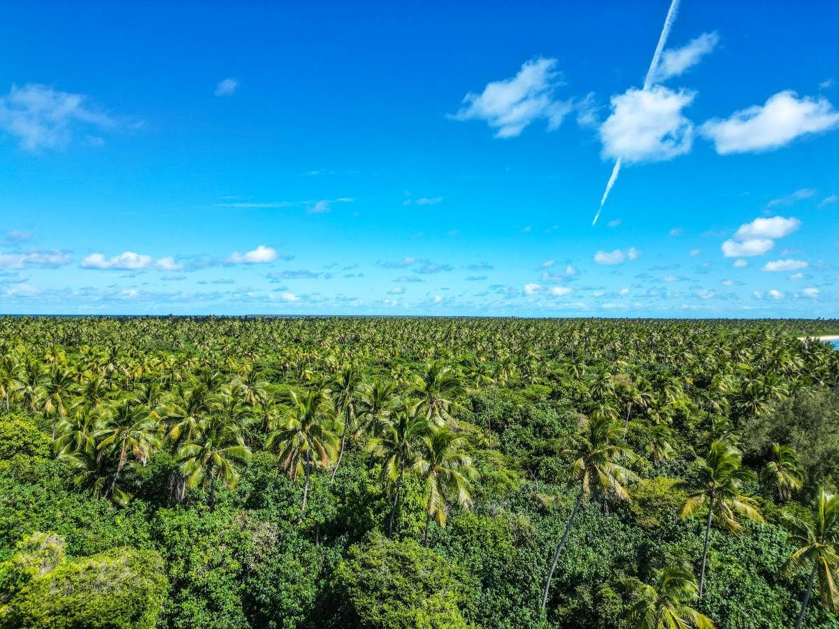 Tonga Weather in February